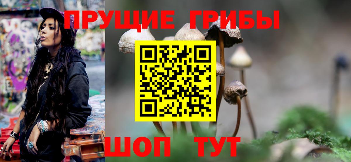 наркошоп  Псилоцибиновые грибы Cubensis  Дербент  Вход с VPN  Галлюциногенные грибы Psilocybe 